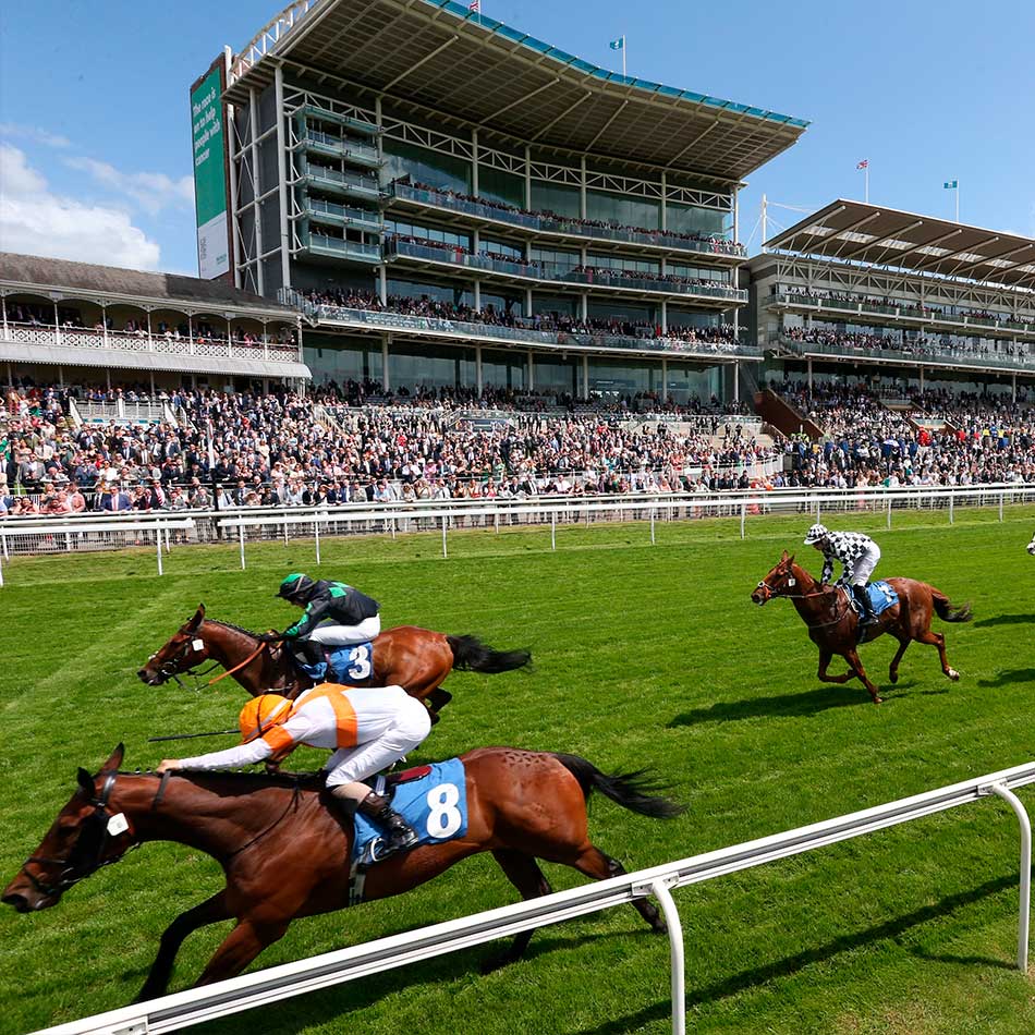 Carrera de caballos lisa en superficie de césped
